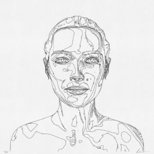 Beautiful Landscape 1A